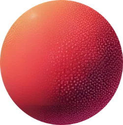 Bonpara Footer Decoration Image